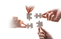 W020250808363349601008