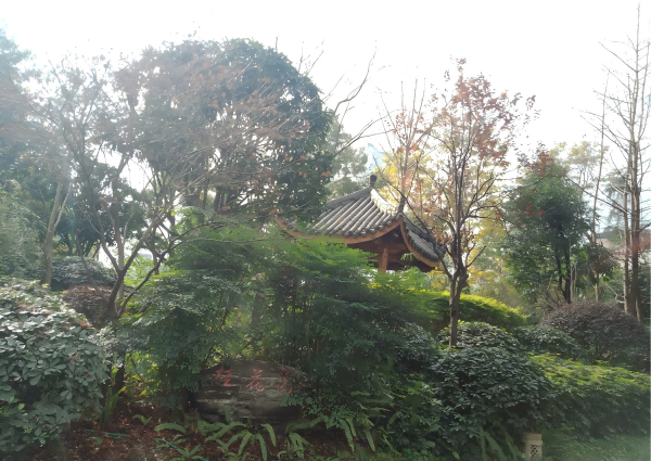 W020250812601288148661