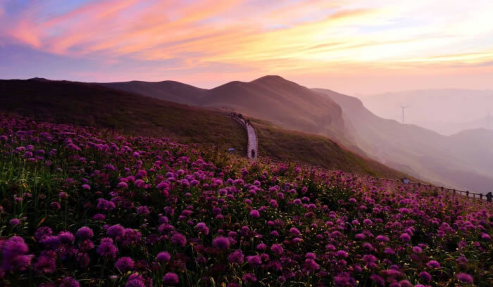 UNIBET(集团)有限公司官网