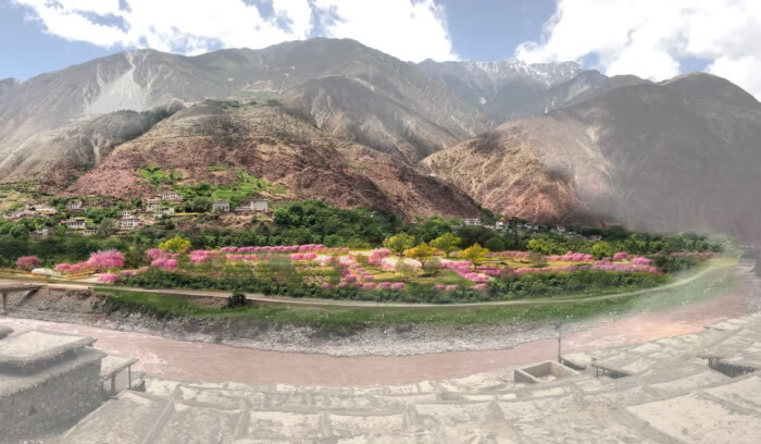 W020250814392950833077