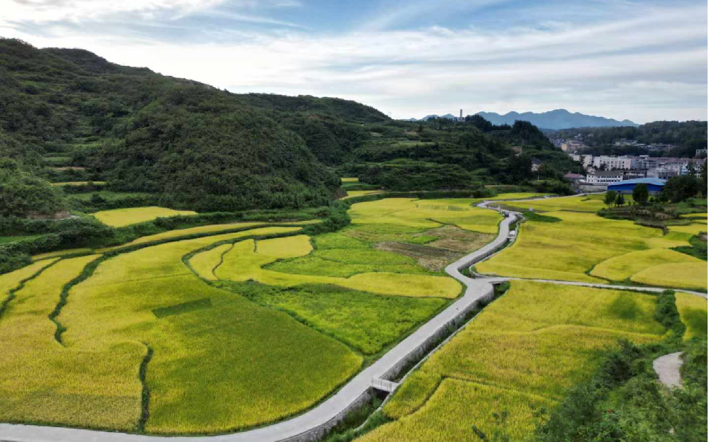 UNIBET(集团)有限公司官网