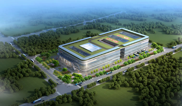 W020250815565165076678